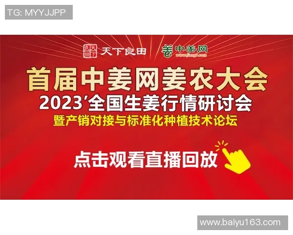 财富天下频道引领投资新风潮助您实现财富自由之路